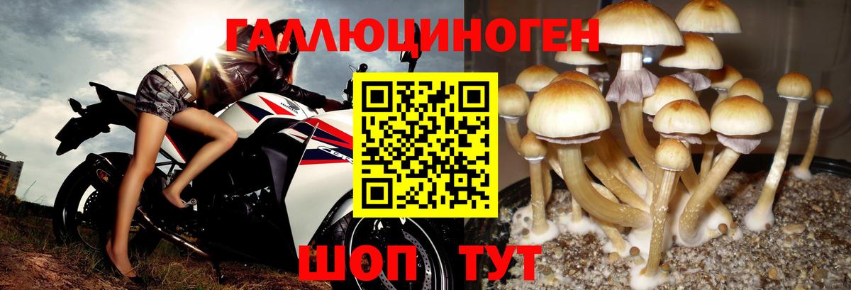 МЕФ   Заводоуковск  Cocaine  Марихуана  Вход с VPN  Купить наркотик  Меф  ГАШ 
