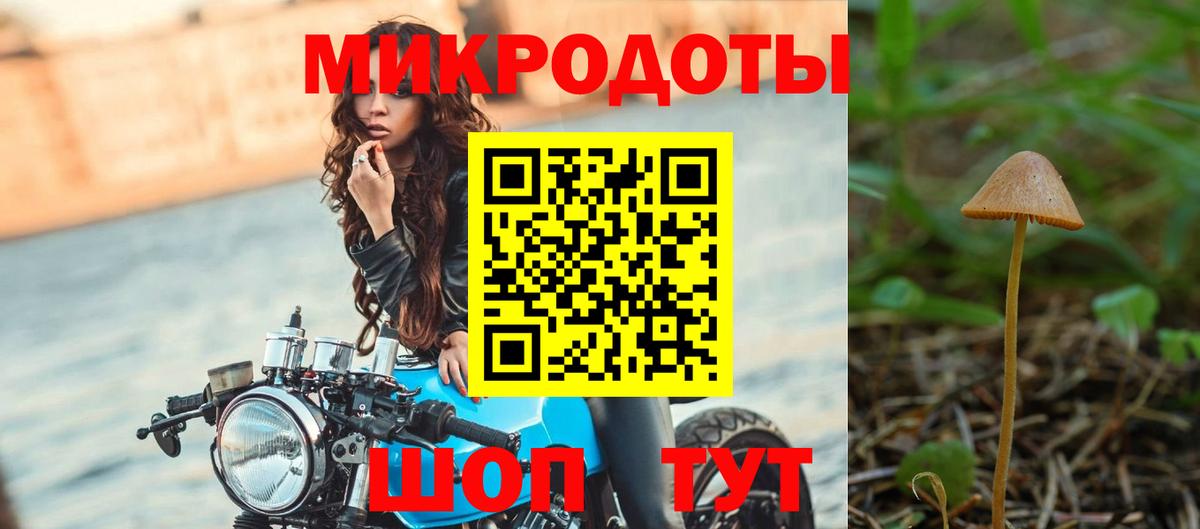 Заводоуковск  Галлюциногенные грибы Psilocybe  Вход с VPN  Галлюциногенные грибы прущие грибы 