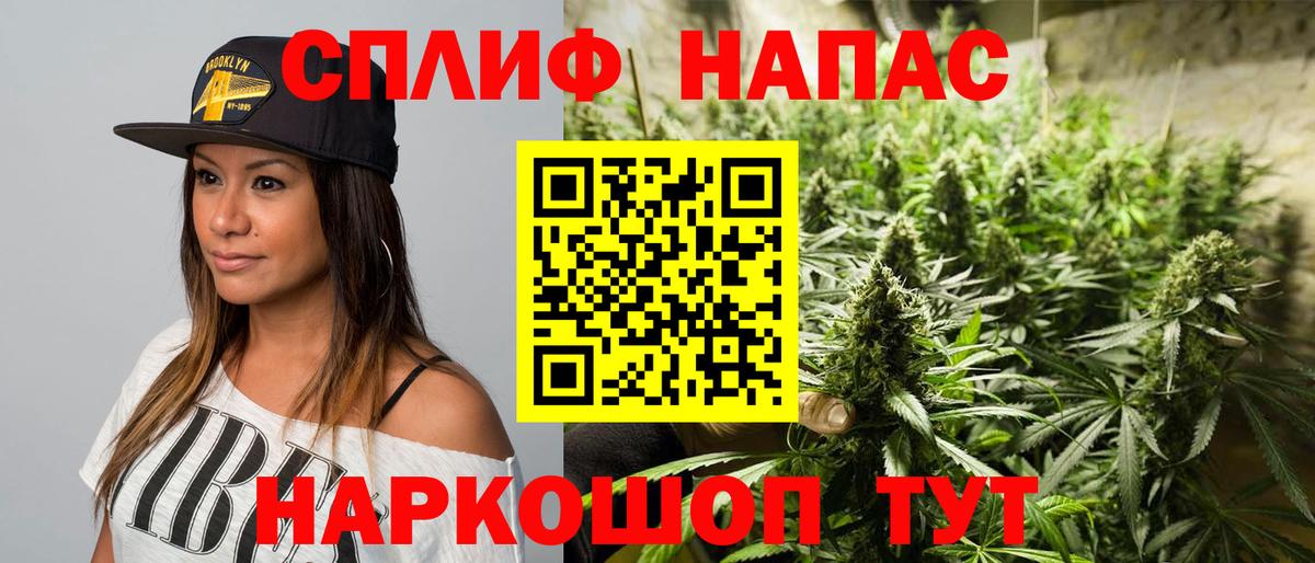 Бошки Шишки конопля Заводоуковск